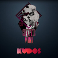 Thumbnail for the Kudos - Cryptic Mind 2017 link, provided by host site