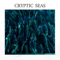 Thumbnail for the Calm Ocean Sounds - Cryptic Seas link, provided by host site