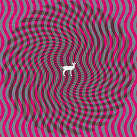 Thumbnail for the Deerhunter - Cryptograms link, provided by host site