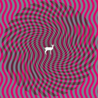 Thumbnail for the Deerhunter - Cryptograms link, provided by host site