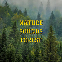 Thumbnail for the Echoes Of Nature - Crystal Lake, Pink Noise (Loopable) link, provided by host site