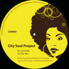 Thumbnail for the City Soul Project - CSR003 link, provided by host site