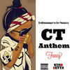 Thumbnail for the Fancy - CT Anthem link, provided by host site