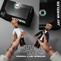 Thumbnail for the Hozwal - Cuál de los Dos link, provided by host site