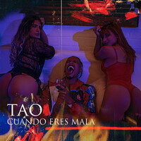 Thumbnail for the Tao - Cuando Eres Mala link, provided by host site