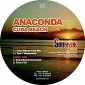 Thumbnail for the Anaconda - Cuba Beach link, provided by host site