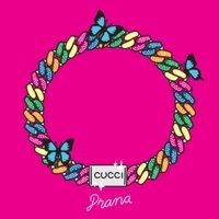 Thumbnail for the Prana - Cucci link, provided by host site