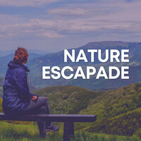 Image of Nature Sounds Nature Music linking to their artist page due to link from them being at the top of the main table on this page