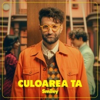 Thumbnail for the Smiley - Culoarea ta link, provided by host site