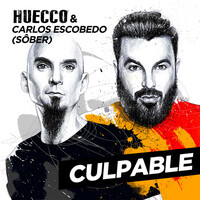 Thumbnail for the Huecco - Culpable link, provided by host site