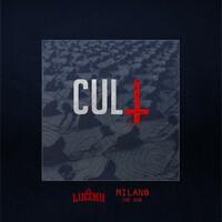 Image of Lucchii linking to their artist page due to link from them being at the top of the main table on this page