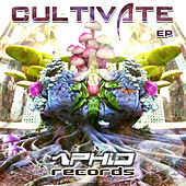 Thumbnail for the Aphid Moon - Cultivate link, provided by host site