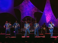 Thumbnail for the The Spinners - Cupid link, provided by host site