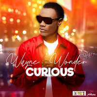 Thumbnail for the Wayne Wonder - Curious link, provided by host site