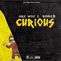 Thumbnail for the Jakewolf - Curious link, provided by host site