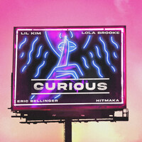 Thumbnail for the Eric Bellinger - Curious (Remix) link, provided by host site