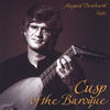 Thumbnail for the August Denhard - Cusp of the Baroque link, provided by host site