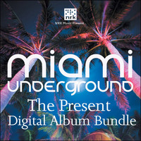 Thumbnail for the Mr. G - Custom Made (Josh Wink Mix) - Josh Wink Mix link, provided by host site