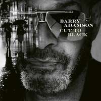 Thumbnail for the Barry Adamson - Cut To Black link, provided by host site