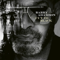 Thumbnail for the Barry Adamson - Cut To Black link, provided by host site