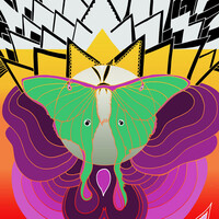 Thumbnail for the The Joy Formidable - Cut Your Face link, provided by host site