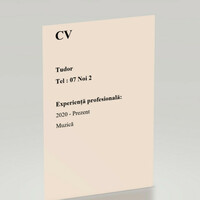 Thumbnail for the Tudor - CV link, provided by host site
