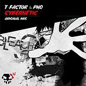 Thumbnail for the T-Factor - Cybernetic link, provided by host site