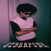 Thumbnail for the Zoo - CYBERPUNK! link, provided by host site
