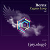 Thumbnail for the Bernz - Cygnus Loop link, provided by host site