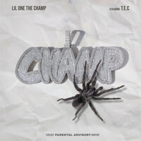 Thumbnail for the Lil One the Champ - D.I.T.Y link, provided by host site
