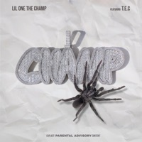 Thumbnail for the Lil One the Champ - D.I.T.Y link, provided by host site
