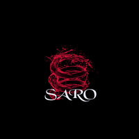Image of Saro linking to their artist page due to link from them being at the top of the main table on this page