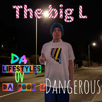 Thumbnail for the Big L - Da Lifestyles Ov da Poor & Dangerous link, provided by host site