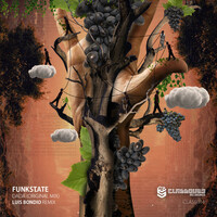 Image of FunkState linking to their artist page due to link from them being at the top of the main table on this page