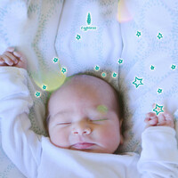 Thumbnail for the Daniel Decatur Emmett - 아빠 엄마의 재미난 이야기 Daddy’s And Mommy’s Fun Story link, provided by host site