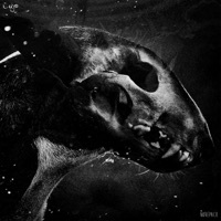 Thumbnail for the Cujo - Daemons link, provided by host site