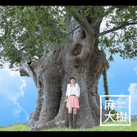Thumbnail for the Asa - Daiki link, provided by host site