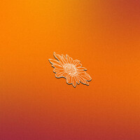 Image of Akila linking to their artist page due to link from them being at the top of the main table on this page