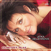 Thumbnail for the Jitka Zelenková - Dál než já link, provided by host site