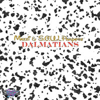 Thumbnail for the Mazzi - Dalmations link, provided by host site