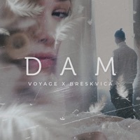 Thumbnail for the Voyage - Dam link, provided by host site