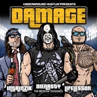 Thumbnail for the Intrinzik - Damage link, provided by host site
