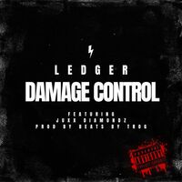 Thumbnail for the LEDGER - Damage Control link, provided by host site