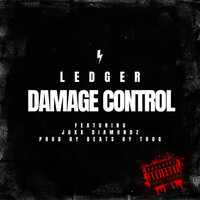 Thumbnail for the LEDGER - Damage Control link, provided by host site