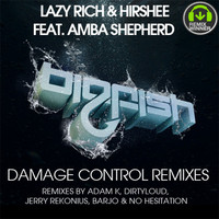 Thumbnail for the Amba Shepherd - Damage Control - Jerry Rekonius Remix link, provided by host site