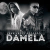 Thumbnail for the John Jay - Dámela link, provided by host site