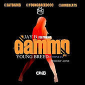 Thumbnail for the Jay B - Dammn link, provided by host site