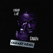 Thumbnail for the Omah Lay - Damn (Cricket Remix) link, provided by host site