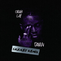 Thumbnail for the Omah Lay - Damn (Cricket Remix) link, provided by host site