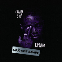 Thumbnail for the Omah Lay - Damn (Cricket Remix) link, provided by host site
